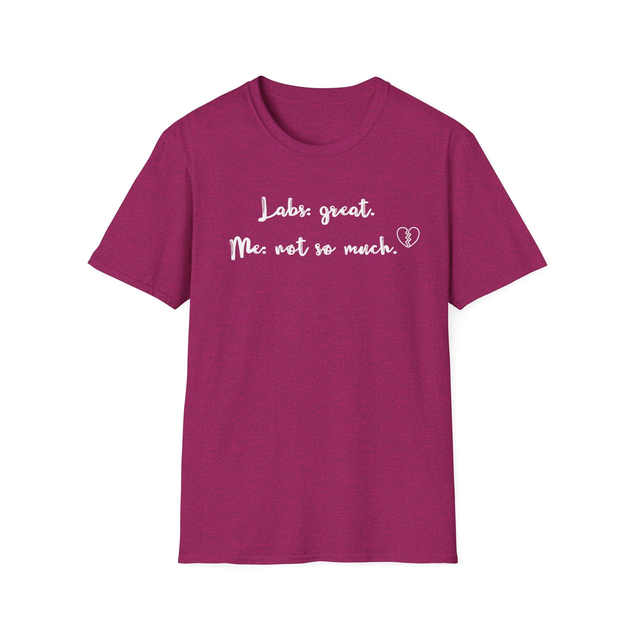 Labs: Great . Me: Not so Much. T-Shirt