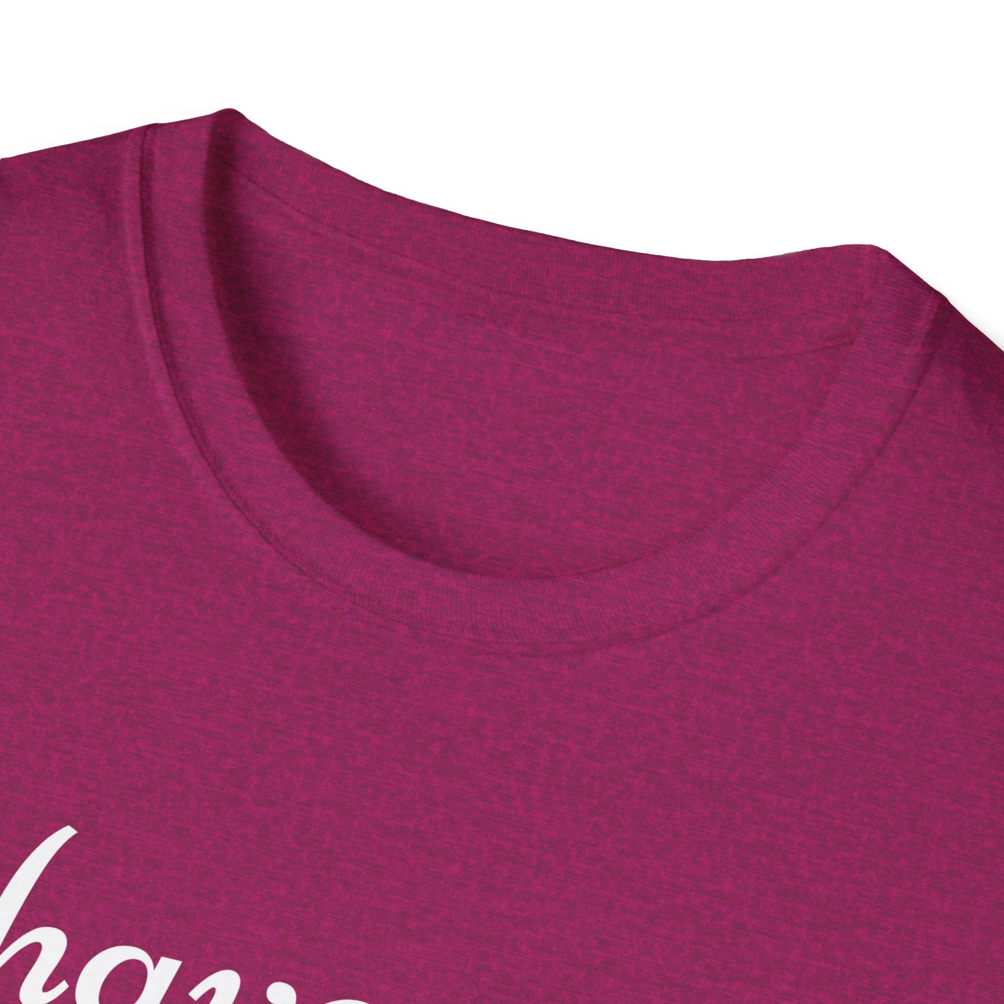 Have Courage and be Kind T-Shirt