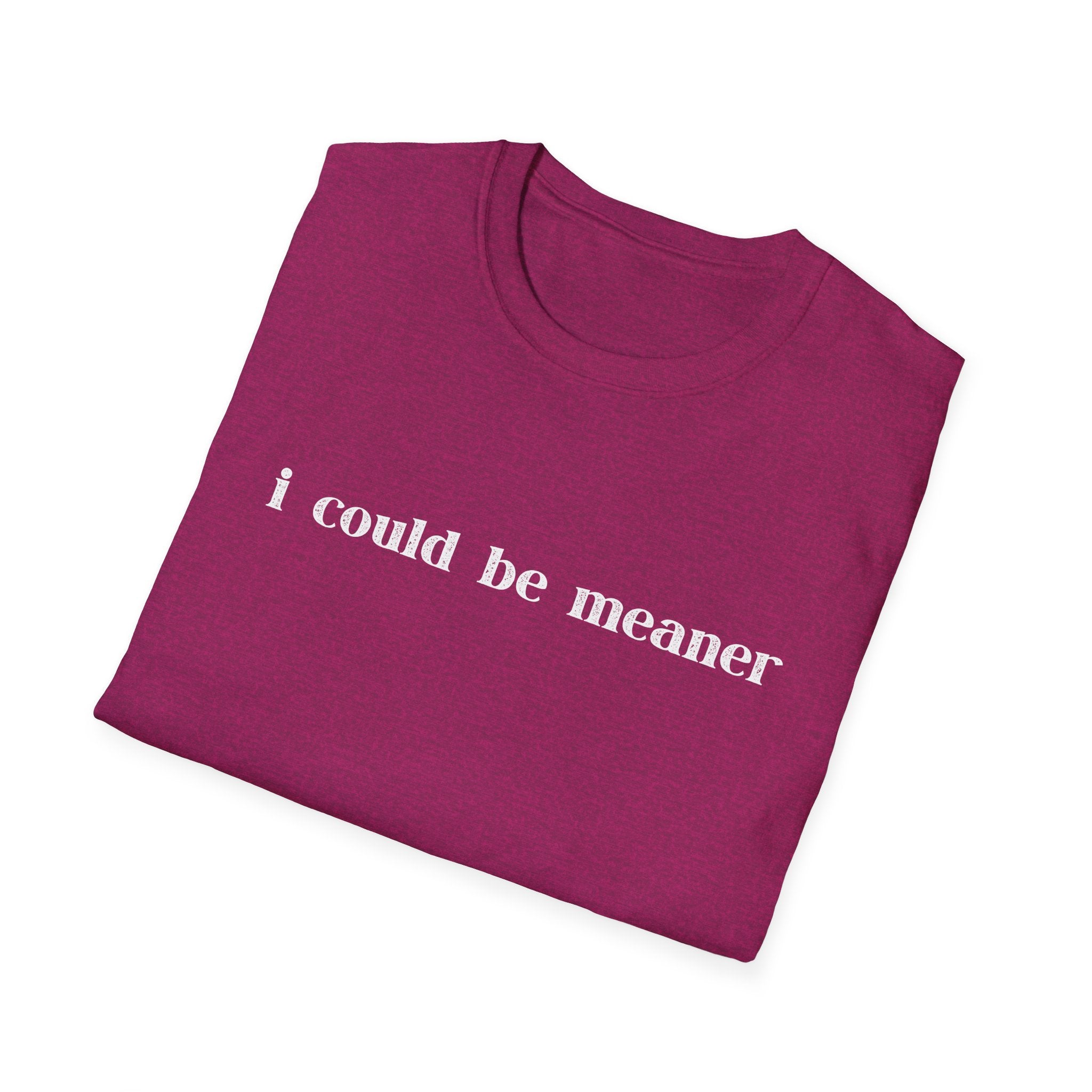 I Could Be Meaner T-Shirt
