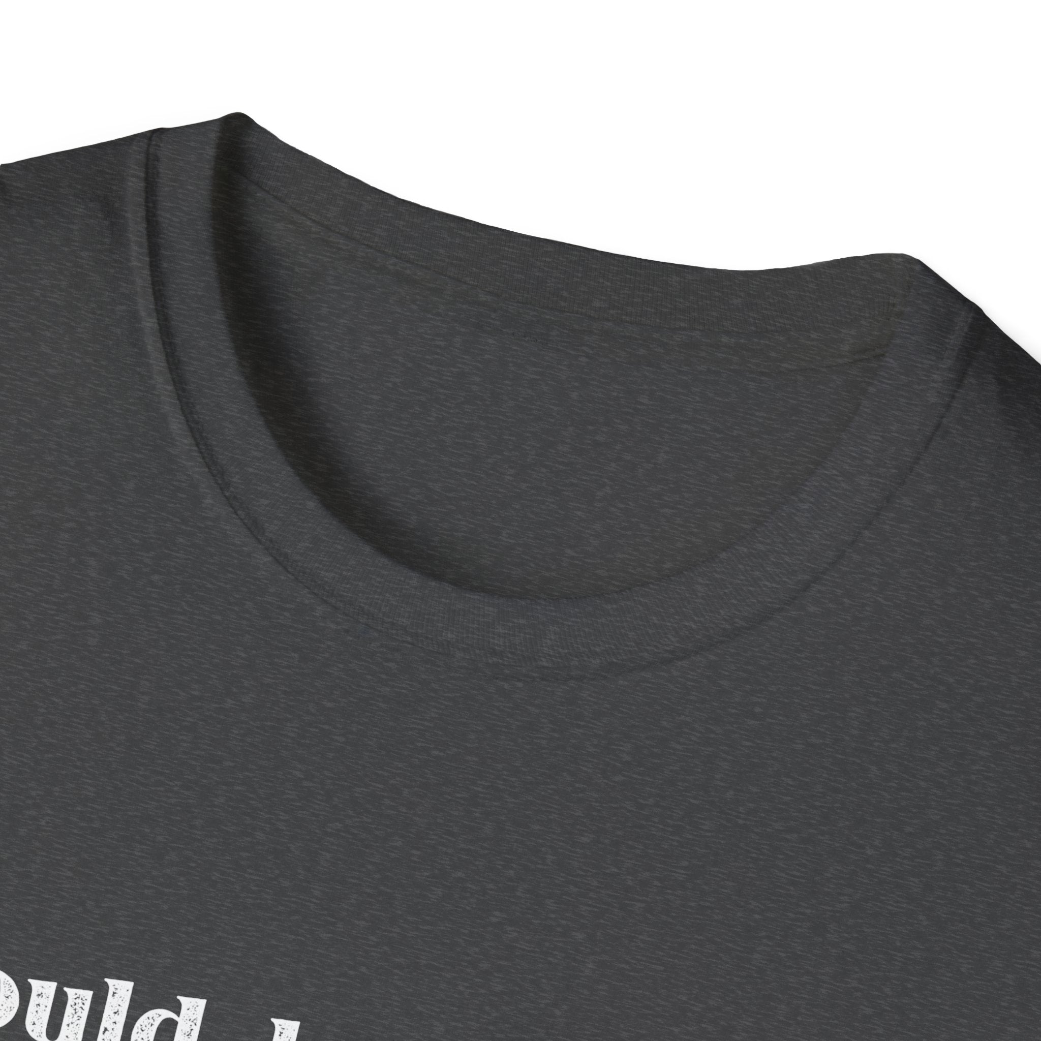 I Could Be Meaner T-Shirt
