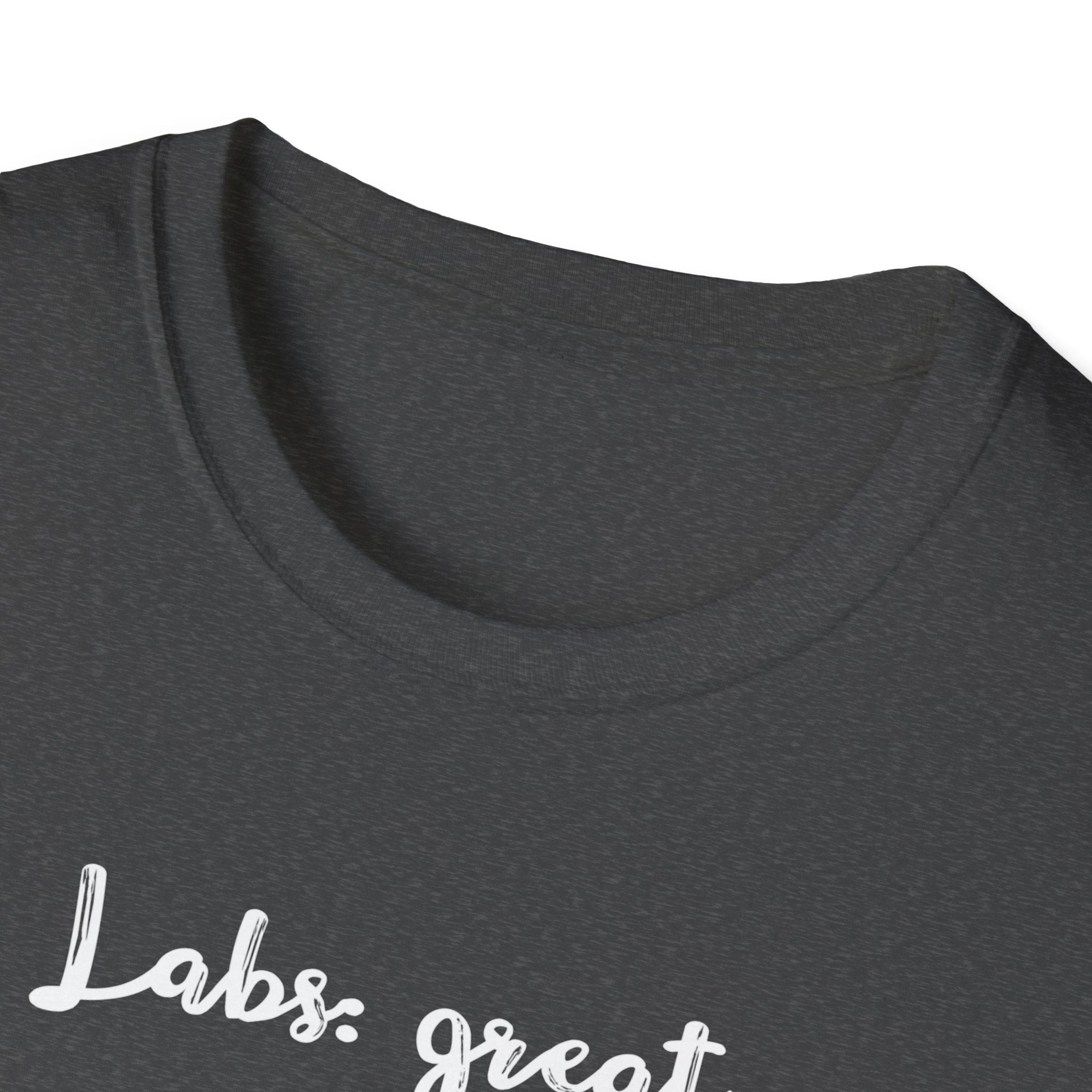 Labs: Great . Me: Not so Much. T-Shirt