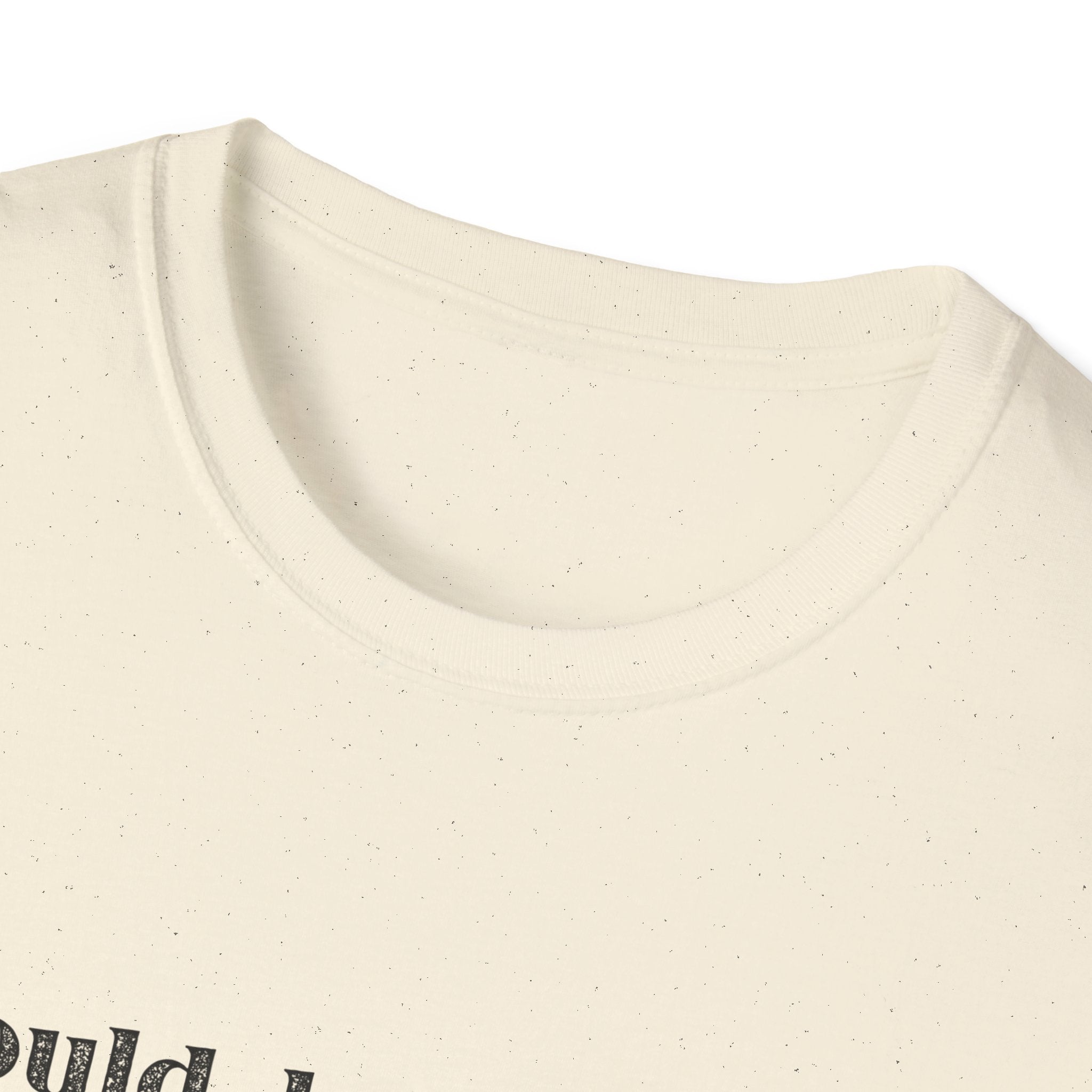 I Could Be Meaner T-Shirt