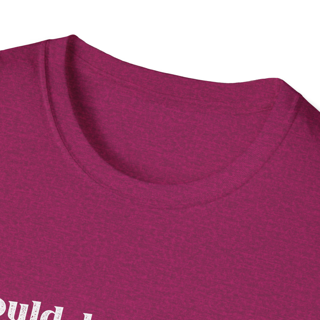 I Could Be Meaner T-Shirt