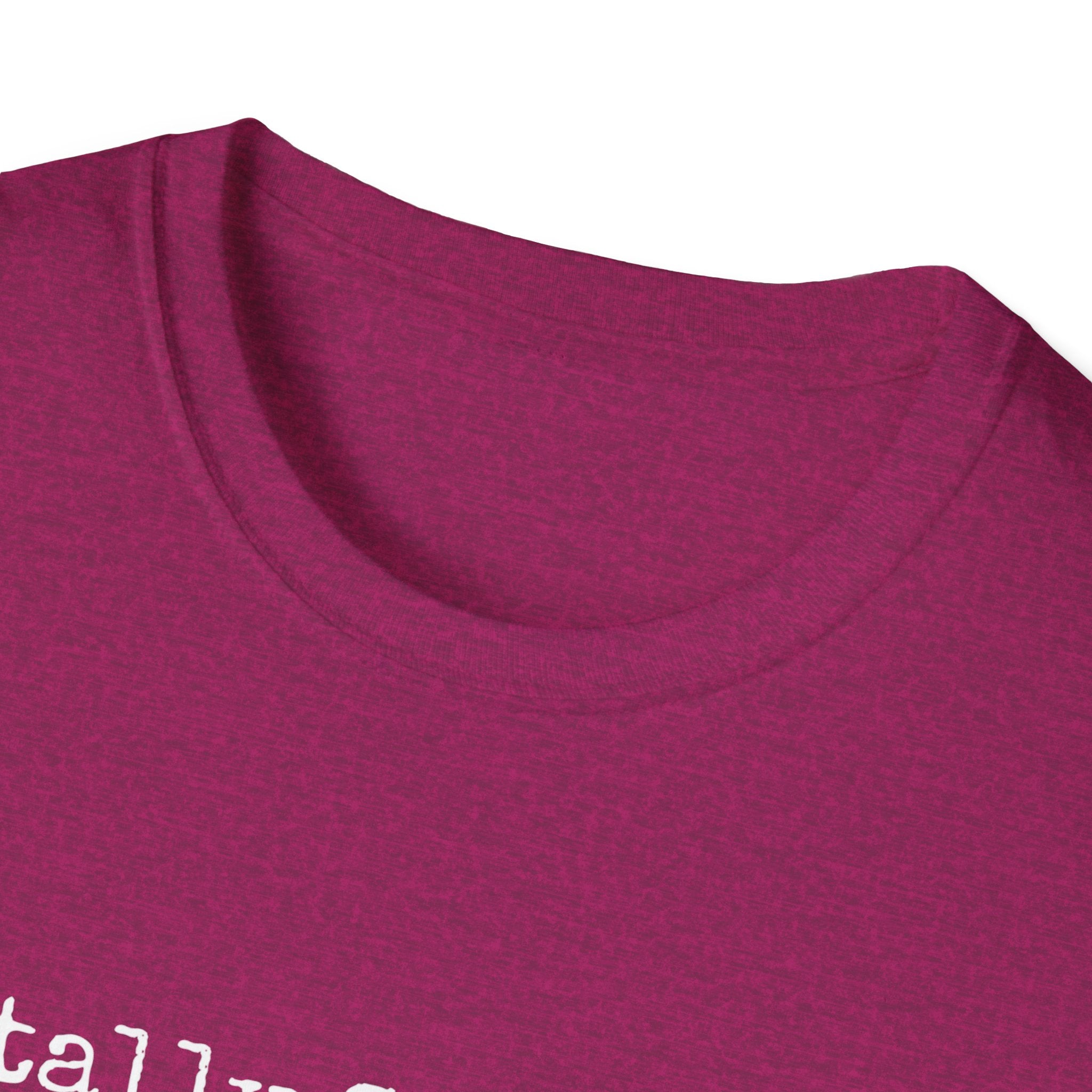 Mentally Stable-ish T-Shirt