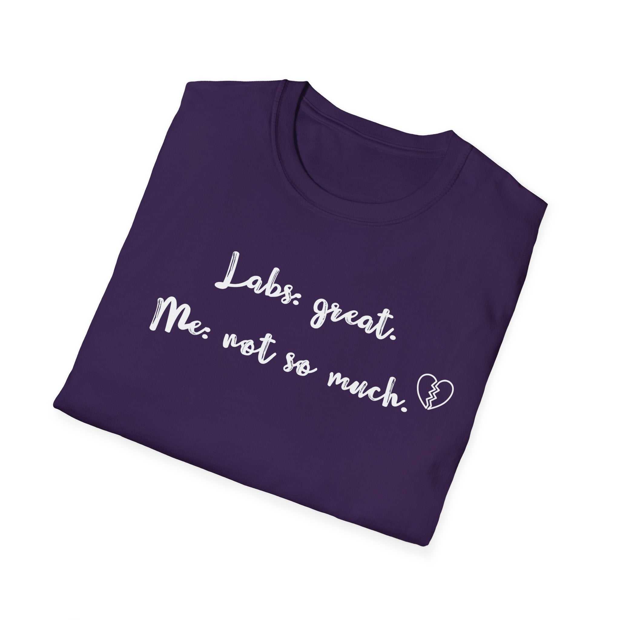 Labs: Great . Me: Not so Much. T-Shirt